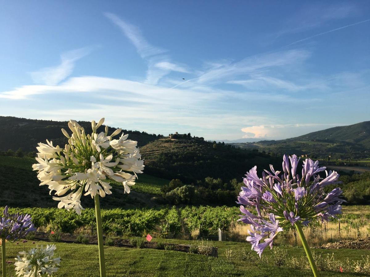 La Pietra Del Cabreo Hotel Greve in Chianti Exterior foto